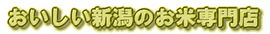 �V���ā@�̔��@��ށ@���F�X�@���������V���̂��Đ��X�B�@������Ё@�֌����X